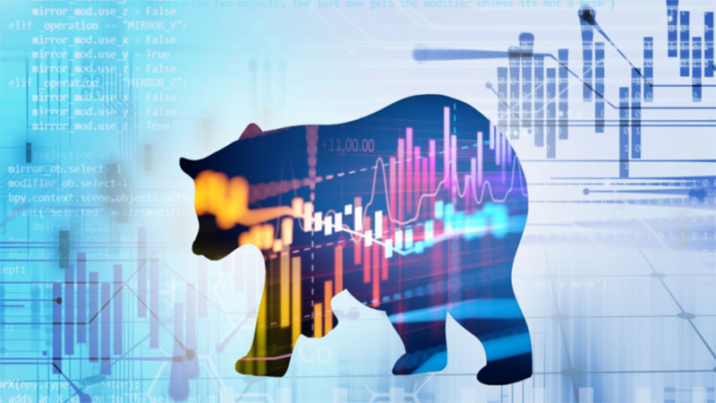 The Ironic Virtue of Bear Markets