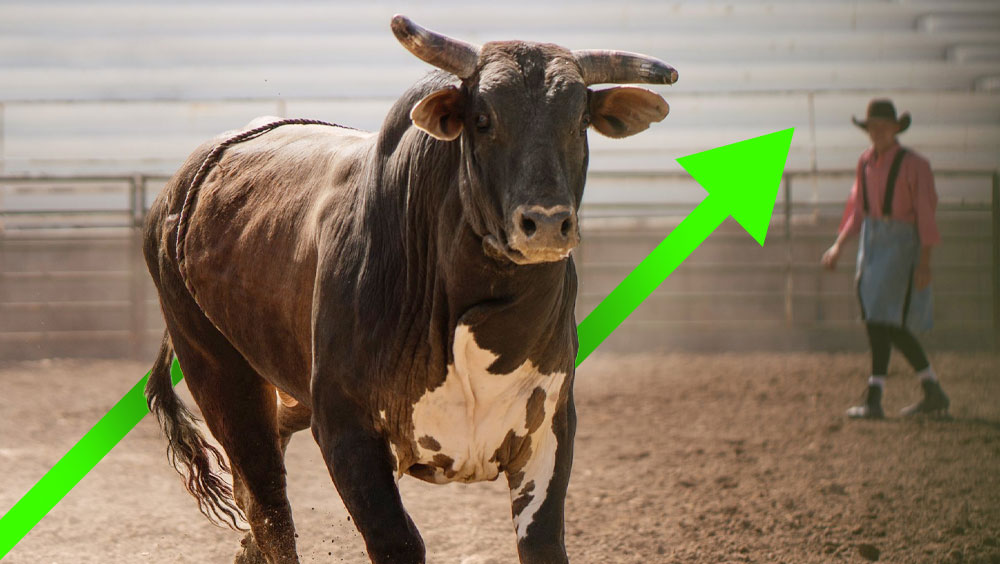 Is a Bull Market Coming? Look for These Signs
