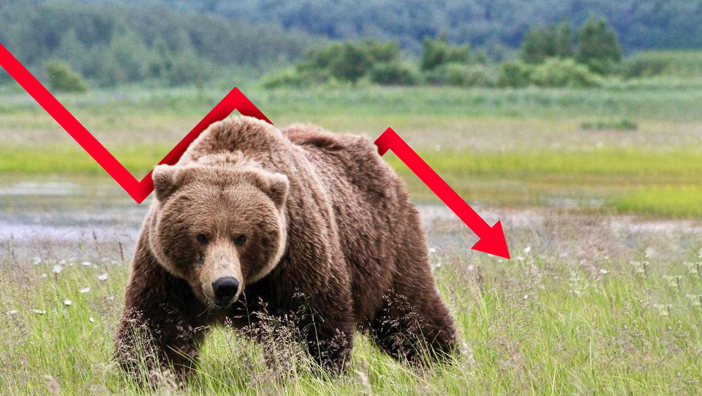 Un-Bear-Able; The Psychology of Investing in a Bear Market