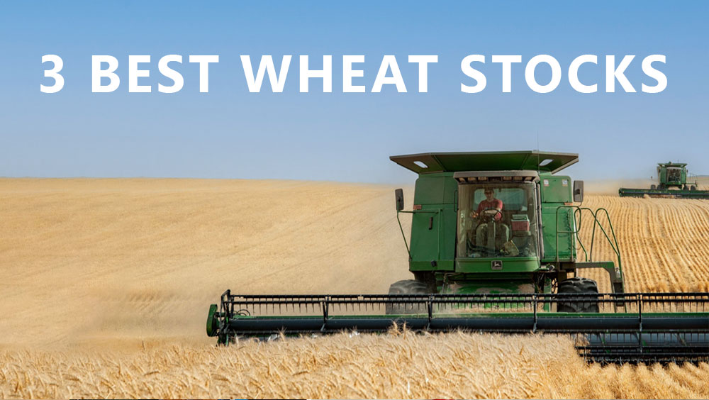 3 Best Wheat Stocks To Buy Now (2023)